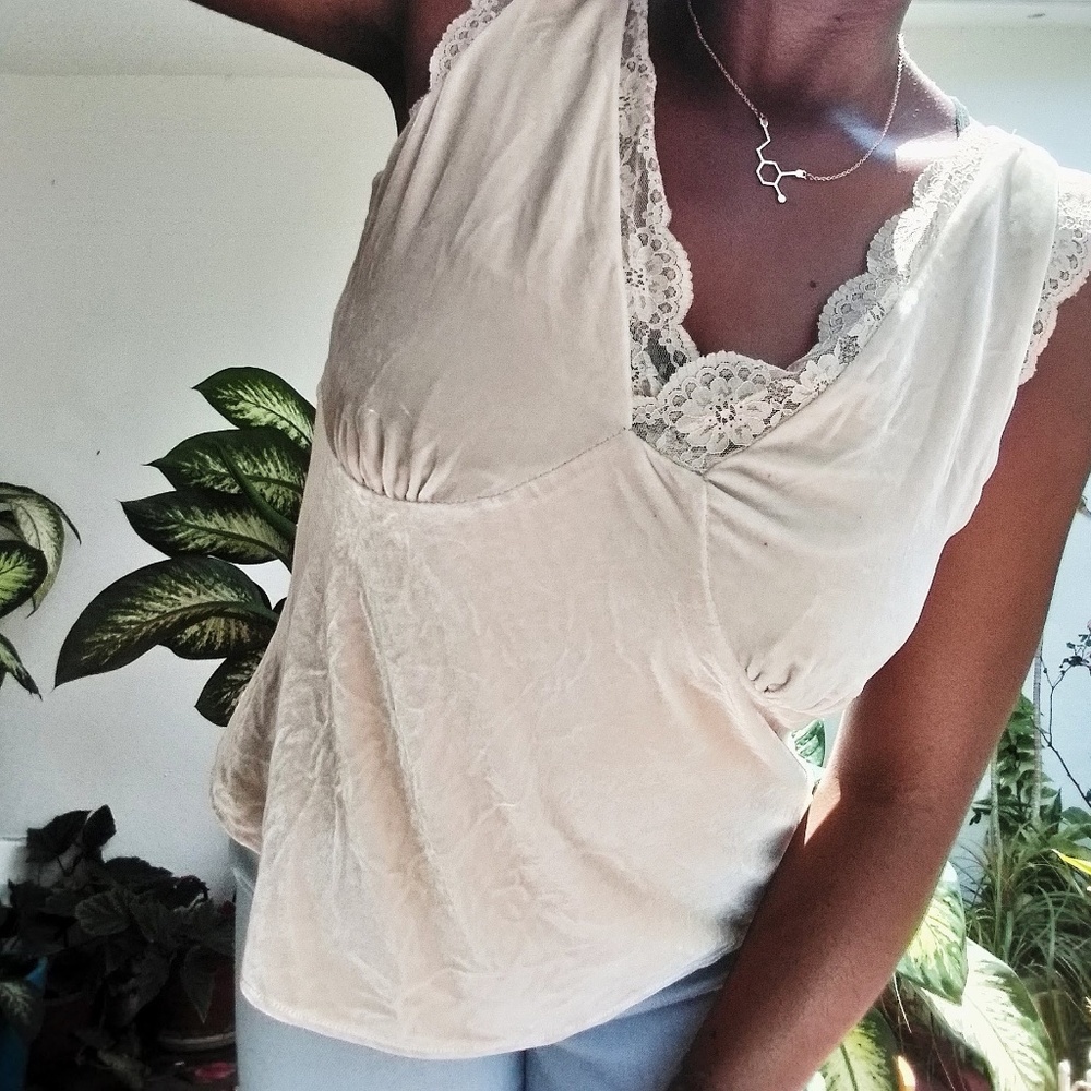 Ann Taylor Loft Petites Velvet Lace Sleeveless Top